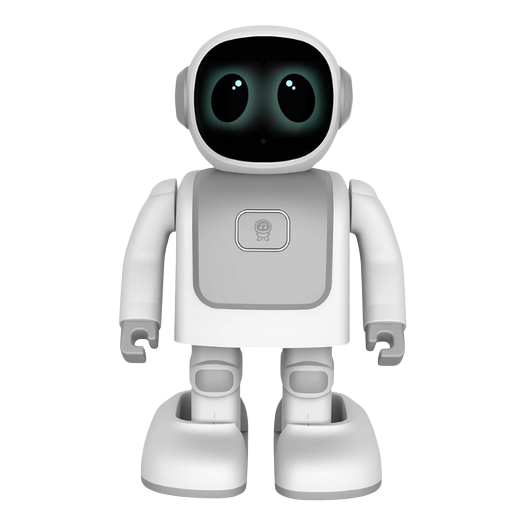 Intelligent Robot for Kids